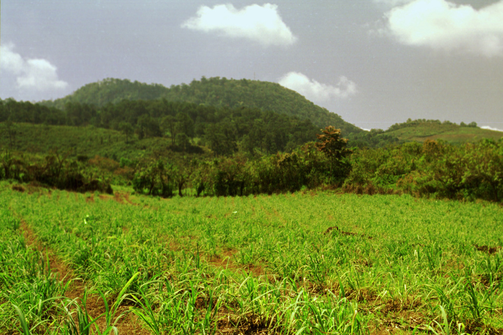 Yojoa, Lago